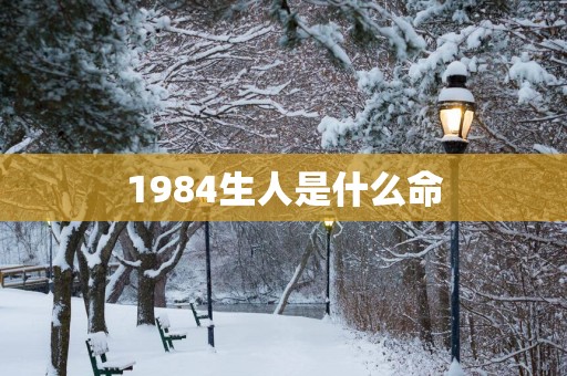 1984生人是什么命