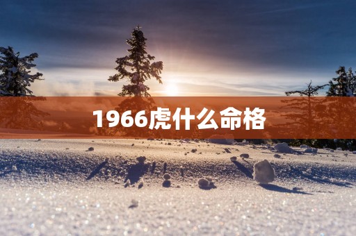 1966虎什么命格