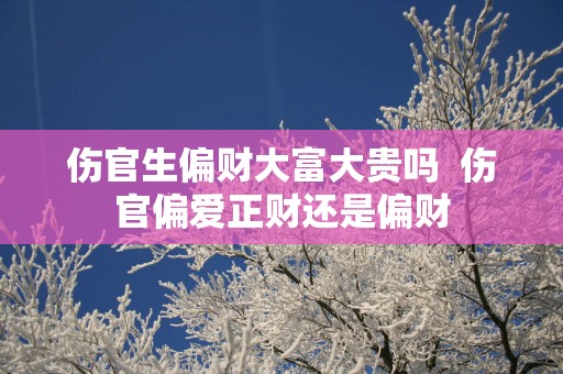 伤官生偏财大富大贵吗  伤官偏爱正财还是偏财