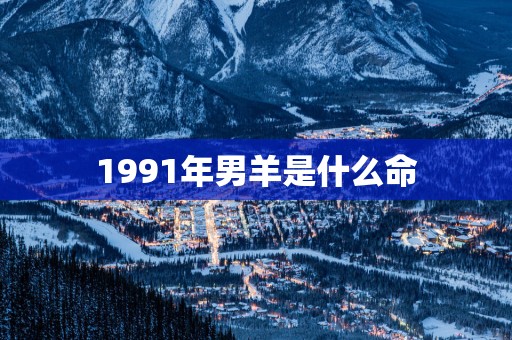 1991年男羊是什么命