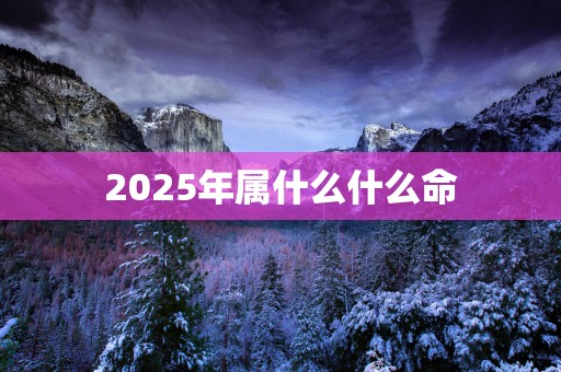 2026年属什么什么命
