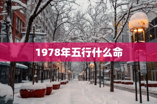 1978年五行什么命