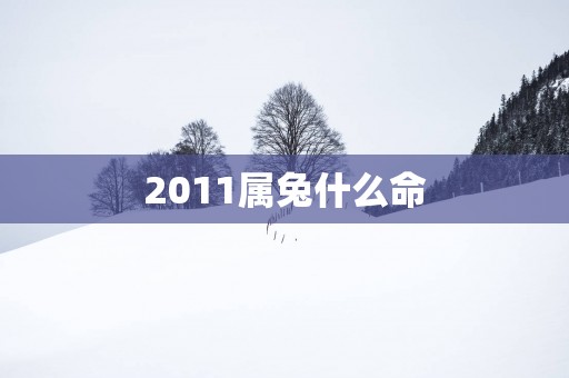 2011属兔什么命
