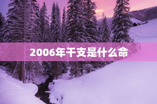 2006年干支是什么命