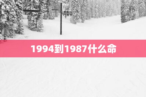 1994到1987什么命