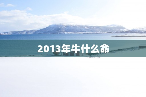 2013年牛什么命