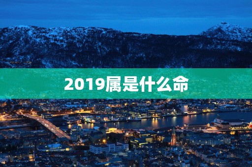 2019属是什么命