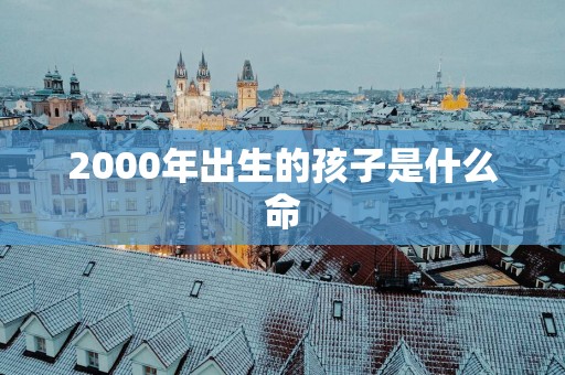 2000年出生的孩子是什么命