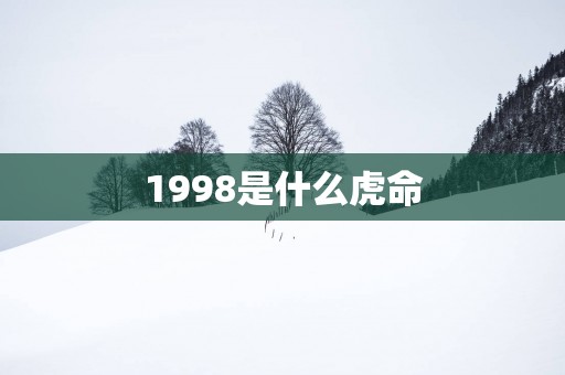 1998是什么虎命