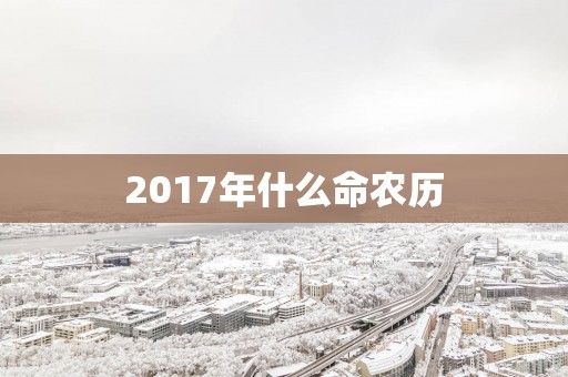 2017年什么命农历