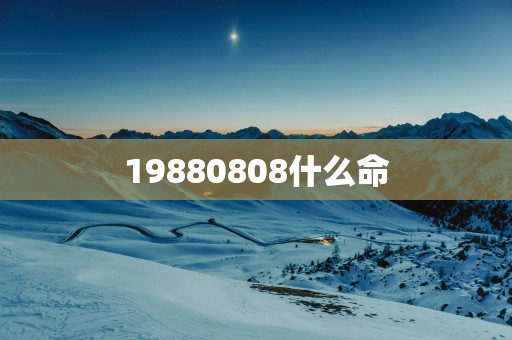 19880808什么命