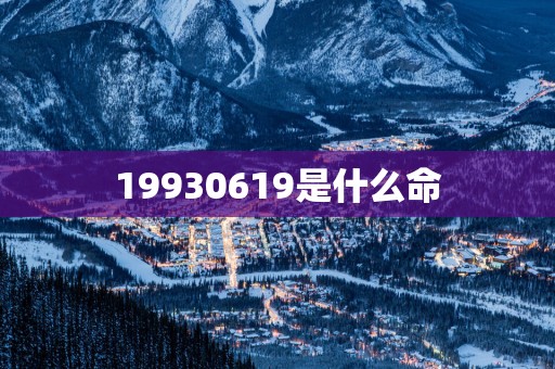 19930619是什么命