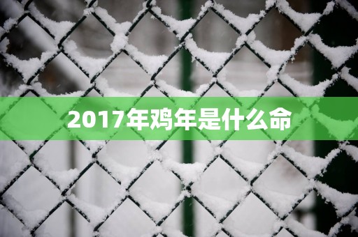 2017年鸡年是什么命