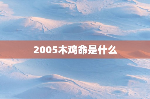 2005木鸡命是什么