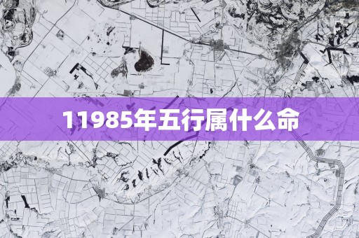 11985年五行属什么命