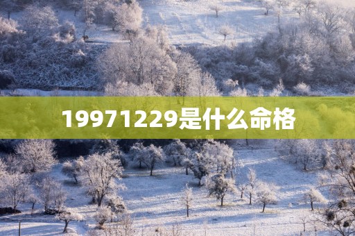 19971229是什么命格