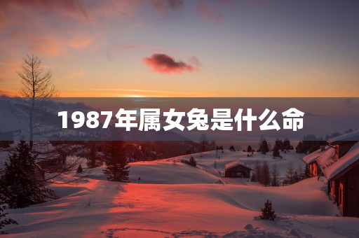 1987年属女兔是什么命