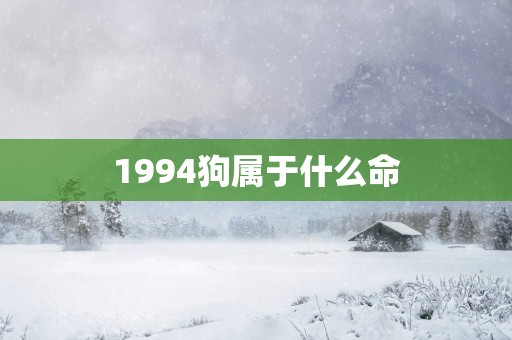 1994狗属于什么命