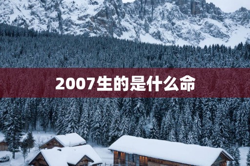 2007生的是什么命