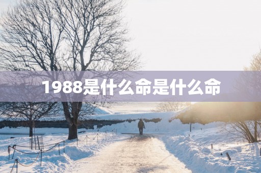 1988是什么命是什么命
