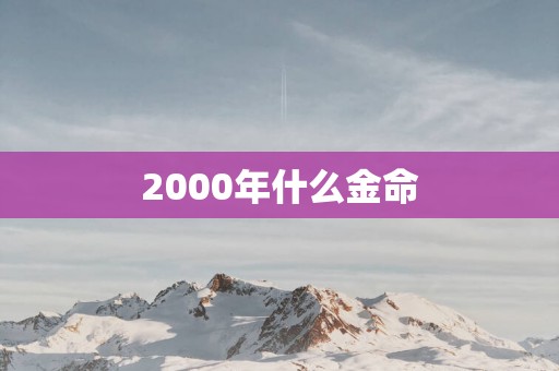 2000年什么金命