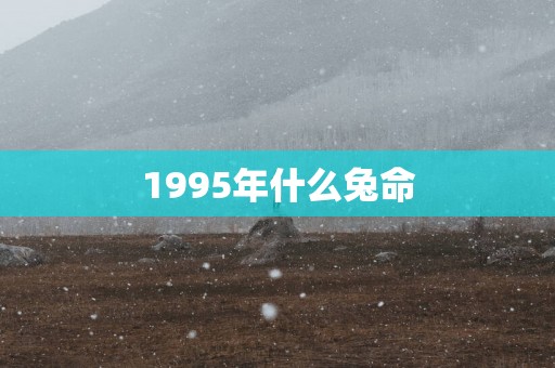 1995年什么兔命