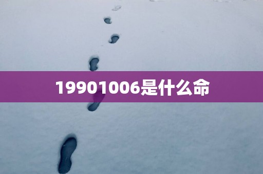 19901006是什么命