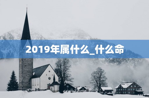 2019年属什么_什么命