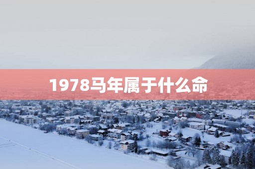 1978马年属于什么命