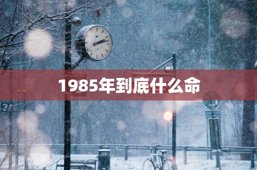 1985年到底什么命