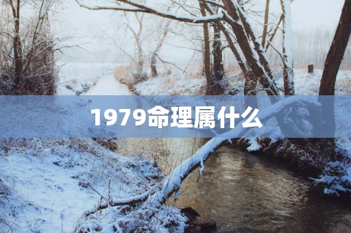 1979命理属什么