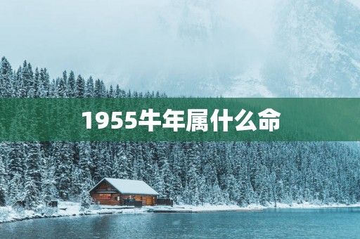 1955蛇年属什么命