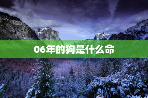 06年的狗是什么命