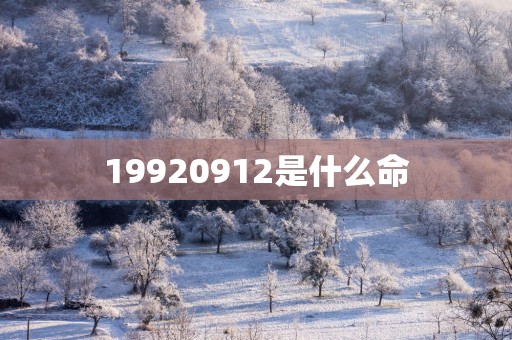 19920912是什么命