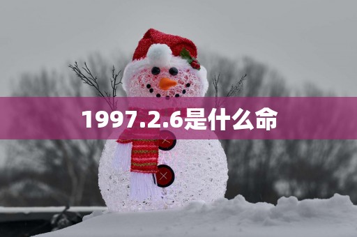 1997.2.6是什么命