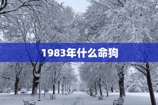 1983年什么命狗