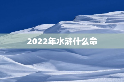 2025年水浒什么命