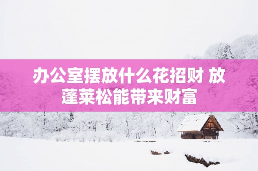 办公室摆放什么花招财 放蓬莱松能带来财富
