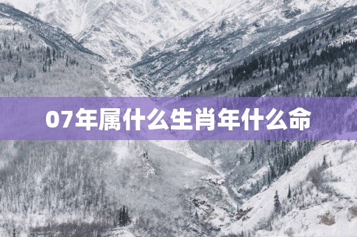 07年属什么生肖年什么命
