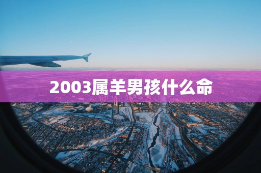 2003属羊男孩什么命