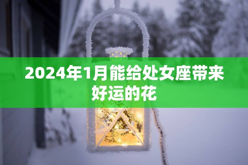 2025年1月能给处女座带来好运的花