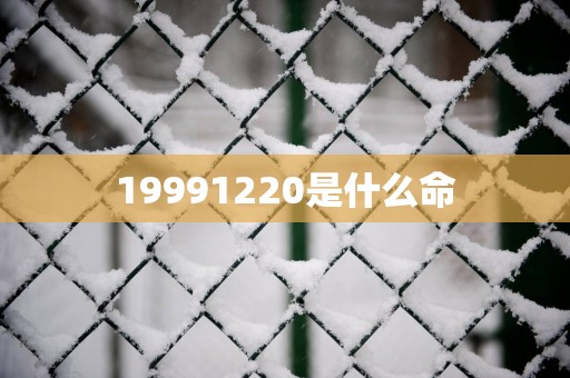 19991220是什么命