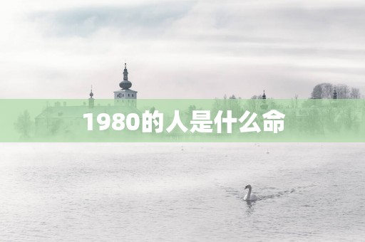 1980的人是什么命