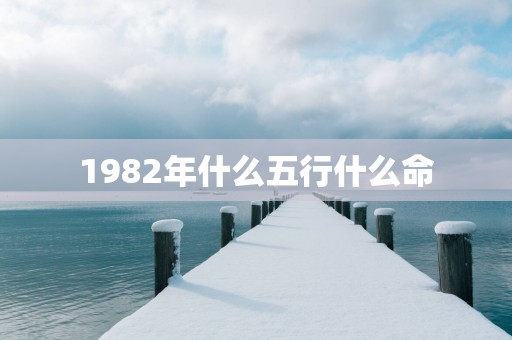 1982年什么五行什么命
