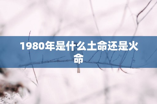 1980年是什么土命还是火命