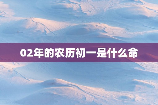 02年的农历初一是什么命