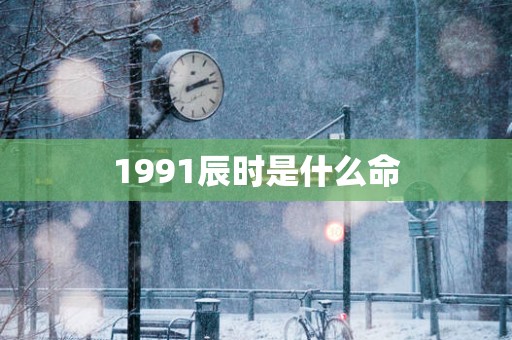 1991辰时是什么命