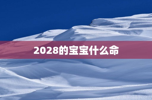 2028的宝宝什么命