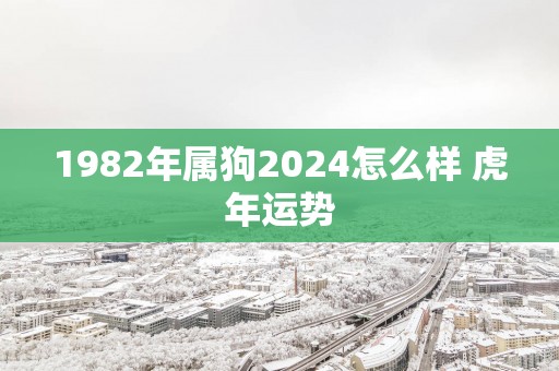 1982年属狗2025怎么样 蛇年运势