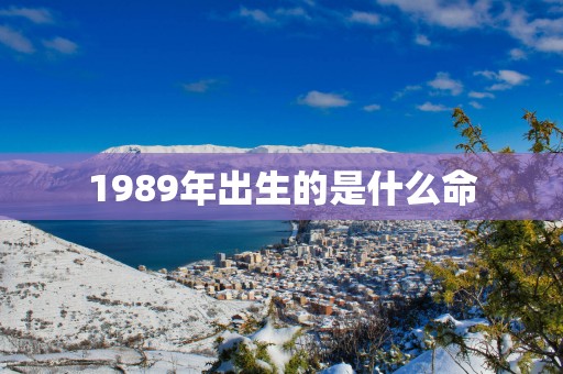1989年出生的是什么命